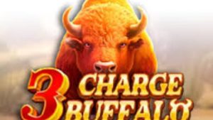 3 charge buffalo